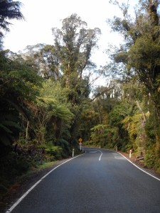 Paparoa NP - Gletscher-049